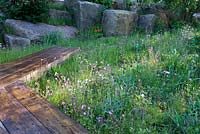 The Laurent-Perrier Chatsworth Garden. Naturalistic recreation of Trout stream and Paxton's rockery. Sunlight through meadow planting red and white campion, Cirsium. Wooden walkway.