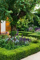 The Morgan Stanley Healthy Cities Garden, view of Acer campestre surrounded by Cirsium rivulare 'Atropurpureum', Salvia nemorosa 'Caradonna', Camassia cusickii and symmetric hedges of buxus sempervirens.