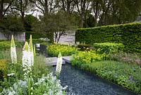 The Telegraph Garden. Eremurus in foreground of geometric garden with long rectangular water rill. 