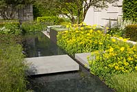 The Telegraph Garden - concrete stepping stone over water rill, with planting of Doronicum x excelsum 'Harpur Crewe' and Euphorbia polychroma, Carpinus betulus - Hornbeam hedge and multi stemmed Osmanthus x burkwoodii