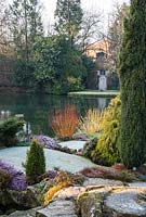 Cornus stems, Conifers and Heathers in frost - Kilver Court Garden, Somerset