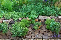 The Trugmaker's Garden.  Detail of front retaining wall made of stacked logs. Plants include Alchemilla mollis, Geum 'Totally Tangerine', Foeniculum vulgare, strawberries, Campanula poscharskyana,  Lithodora 'Heavenly blue'. RHS Chelsea Flower Show 2015