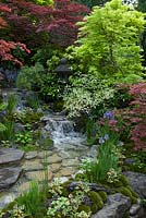 View of flowing stream leading to stepping stones. Edo no Niwa - Edo Garden by Ishihara Kazuyuki Design Laboratory.  RHS Chelsea Flower Show 2015 