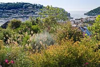 Looking out over lower part of garden to Kingswear and Dartmouth harbour entrance. Planting includes Seedheads of Cortaderia fulvida, Weigela and Teucrium fruticans.