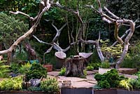 Seating area made with raw wood roots surrounded by Oak branches - natural sculptural elements, Pinus and Acer. The Sculptor's Picnic Garden by Walker's Nurseries. RHS Chelsea Flower Show 2015
