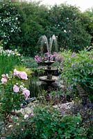 Pond with fountain. Plants include pink rose Rosa 'Gruss an Achen', Iris pseudacorus - yellow flag and Saxifraga x urbium 
