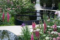 Soft pink planting of Lupinus, Orlaya grandiflora and Paeonia surrounding black water pools - The Breakthrough Breast Cancer Garden, RHS Chelsea Flower Show 2015 