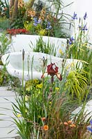 The Pure Land Foundation Garden a garden with flowing white walls surrounded by Iris germanica 'Kent Pride', Digitalis 'Illumination Apricot, Geum 'Lady Stratheden' Asphodeline lutea,  Briza media 'Limouzi' and multi stems of Koelreuteria paniculata.  RHS Chelsea Flower Show, 2015