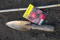 A Trowel, Garden Cane and Beetroot 'Detroit Dark Red' seeds