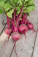 Beetroot 'Detroit Dark Red' on a wooden surface