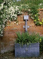 Brick wall with Clematis montana wilsonii. Cistern planted with ferns