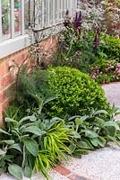 Box ball edged in fennel, anthriscus and stachys softens the hard edges of brick wall meeting stone path. RHS Chelsea Flower Show 2015