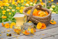 Ingredients for creating Calendula oil: Calendula officinalis 'Art Shades', Glass jars and a jug of Sunflower Oil.