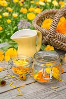 Ingredients for creating Calendula oil: Calendula officinalis 'Art Shades', Glass jars and a jug of Sunflower Oil.