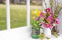 Floral display of flowering Hellebore and Primula veris in vintage coffee pot, with a view to the garden