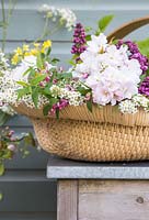 Woven trug containing fresh spring foliage. Spiraea, Lilac, Cherry and Rubus odoratus