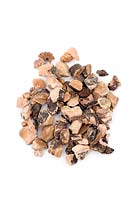 Pieces of Bistort root - Persicaria bistorta - for use in herbal medicine