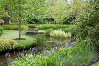 View at Longstock Park Water Gardens with Iris clarkei, Iris pseudacorus 'Variegata' and Iris pseudacorus