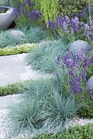 Festuca glauca planted in gravel with paving and Lavandula angustifolia - Living Landscapes: Healing Urban Garden, RHS Hampton Court Palace Flower Show 2015