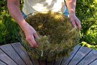 Finding a use for lawn moss, as a free hanging basket lining