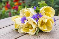 Floral bouquet made with Tulipa 'Creme Lizard' and Anemone blanda
