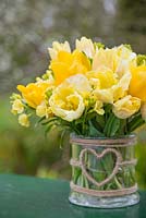 Floral display of Tulipa 'Sunny Boy', Tulipa 'Creme Lizard', Tulipa 'Golden Apeldoorn' and Cheiranthus cheiri 'Ivory White' in glass vase