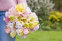 Woman holding bunch of freshly cut Cheiranthus cheiri 'Ivory White', Tulipa 'Creme Lizard', Tulip 'Sunny Prince', Tulip 'Apricot Beauty' and Cherry Blossom