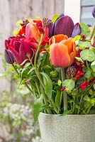 Floral display of Euphorbia, Wallflowers, Tulip 'Brown Sugar', Tulip 'National Velvet' and Tulip 'Queen of Night'