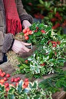 Attaching and securing Malus, bright red crab apples to moss covered frame with wire. Gabbi's Garden. December.