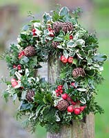 Christmas wreath with red berries and crab apples. December.