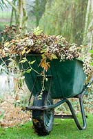 A wheel barrow full of cuttings.