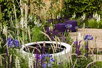 Mixed planting including Agapanthus africans Salvia numerous 'Caradonna' and Pennisetum orientalis with circular water feature and seating area beyond - The Wellbeing of Women Garden - RHS Hampton Court Flower Show 2015