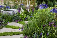 The Wellbeing of Women Garden - stepping stones marking each decade of the charity's work with Thymus serpyllum between and other mixed planting in purples, blues and whites including Agapanthus africans - RHS Hampton Court Flower Show 2015