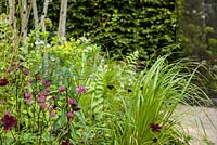 Shade loving perennials including Astrantia major 'Star of Fire' and Euphorbia cornigera - QEFs A Different Point of View, RHS Hampton Court Flower Show 2015