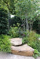 Bronzed and aged mirror set in hornbeam hedge provide reflective space in shady garden with rocks and shade tolerant perennials and multi-stemmed tree. A Different Point of View.  