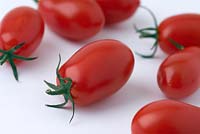 Solanum lycopersicum 'Capriccio' - plum tomato