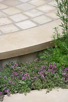 Thyme, chamomile and rosemary bordering pale stone raised pathway. The Wellbeing of Women Garden. RHS Hampton Court Flower Show 2015. Sponsors: Tattersall Landscapes, London Stone, Jacksons Fencing, Hedgeworx, Tactile Studios.