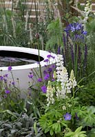 The Wellbeing of Women Garden - small pond, planting of Salvia nemorosa 'Caradonna', Pennisetum orientale 'Tall Tails', Agapanthus africanus 'Midnight Star', 'Verbena rigida - Designed by Wendy von Buren, Claire Moreno, Amy Robertson - Sponsors Tattersall Landscapes, London Stone, Jacksons Fencing, Hedgeworx, Tactile Studios - RHS Hampton Court Flower Show 2015 - awarded Silver gilt