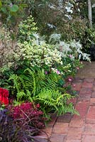 A garden by association, view of brick path surrounded by fern Blechnum Spicant, white Hydrangea Paniculata and Berberis - Designer: Tina Vallis, MSGD 