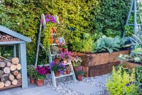 Just Retirement: A Garden For Every Retiree, view of painted old ladder used as shelves with violas, pelargonium, campanula and Sempervivum in flower pots. Designer: Tracy Foster Sponsor: Just Retirement Ltd
