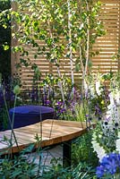 Seating area with wooden bench surrounded by Salvia nemorosa 'Caradonna', Verbena and Betula trees against wooden fence. The Wellbeing of Women Garden. Designers: Wendy von Buren, Claire Moreno, Amy Robertson. Sponsor: Tattersall Landscapes, London Stone, Jacksons Fencing, Hedgeworx, Tactile Studios