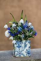 Blue and white posie step by step in April. Arrangement of white heather, snowflake, grape hyacinth, lungwort, Bellis daisy and rosemary. Calluna vulgaris, Leucojum aestivum, Muscari armeniacum, Pulmonaria 'Blue Ensign', Bellis perennis and Rosmarinus officinalis.