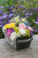 Roses freshly cut from the garden and teamed with commonly grown summer flowering plants such as yarrow, Lady's mantle, asters, Baby's breath, lavender, catmint, love-in-the-mist, verbena and clematis 