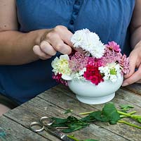 Container grown posie step by step in July: Finish by adding white asters to the dome of pimpinella, dahlias and white or pink trailing verbena.