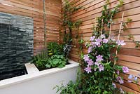 Red cedar wall screen, slate water feature.  Salvia 'Caradonna', Alchemilla mollis, Euphorbia mellifera, Eryngium bourgatii 'Picos Amethyst', Trachelospermum jasminoides, Clematis 'Nelly Moser', Agapanthus africanus