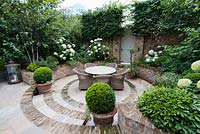 Walpole Gardens: London. View onto circular tile and brick sunken patio with Carpinus betulus, Hydrangea arborescens 'Annabelle',  Erigeron karvinskiansus, Heuchera 'Rave On', Buxus sempervivens, Betula utilis 'Jacquemontii', Pittosporum tobira 'Nanum'