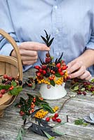 Hips and berries posie step by step in November. Adding black elder foliage amidst rose hips and berries from blackberry, cotoneaster, pyracantha and hawthorn.