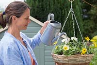 Watering hanging basket containing Bidens Bidy 'Gonzales Big' Red Fox, Verbena 'Empress Flair White' Red Fox Empress Flair series and Petunia 'Yellow' Red Fox Potunia Plus series