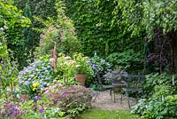 Shady rest area with metal garden chairs in a pottery maker's garden where ceramic objects show up between the lush planting with Rosa 'Veilchenblau', Acer palmatum 'Dissectum Atropurpureum', Astrantia, Geranium psilostemon, Hydrangea macrophylla 'Endless Summer', Parthenocissus tricuspidata