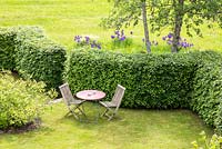 Garden furniture on a lawn sheltered by a hornbeam hedge, planting includes, Calycanthus floridus, Fagus sylvatica, Iris sibirica